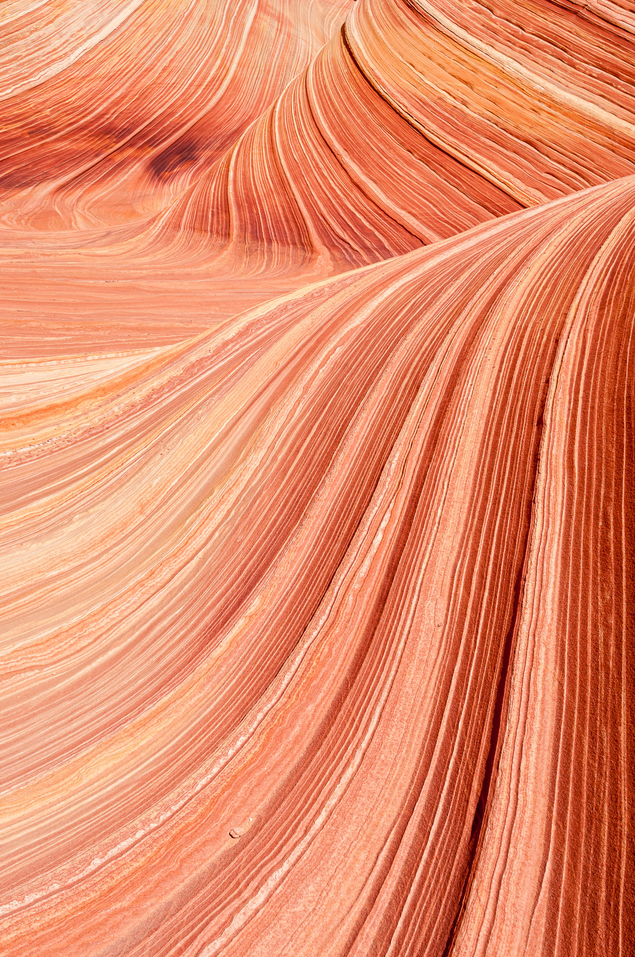Paysages de Coyote Buttes, The Wave, Vermillion Cliffs National Monument, Arizona. Etats-Unis.