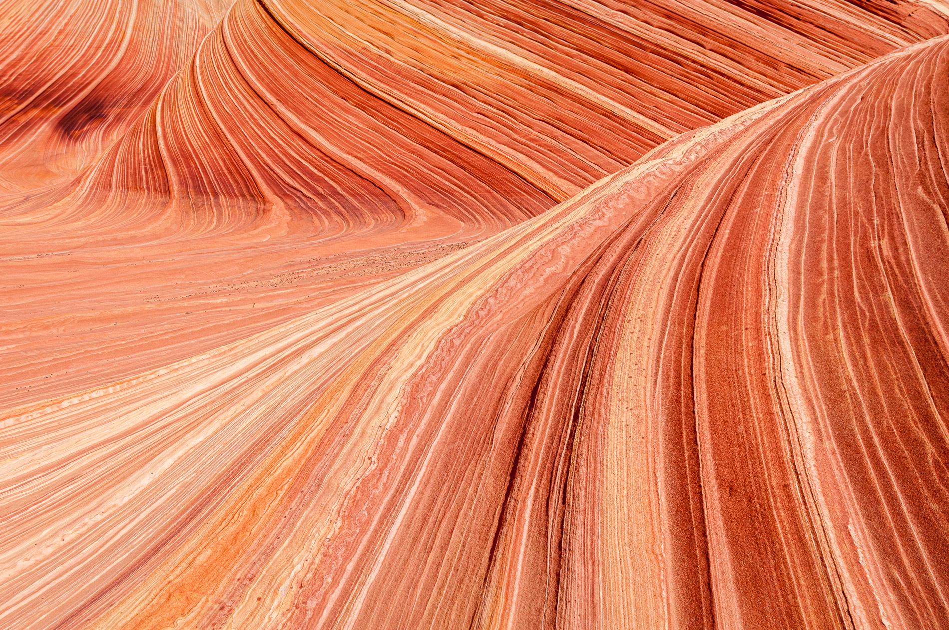 Paysages de Coyote Buttes, The Wave, Vermillion Cliffs National Monument, Arizona. Etats-Unis.