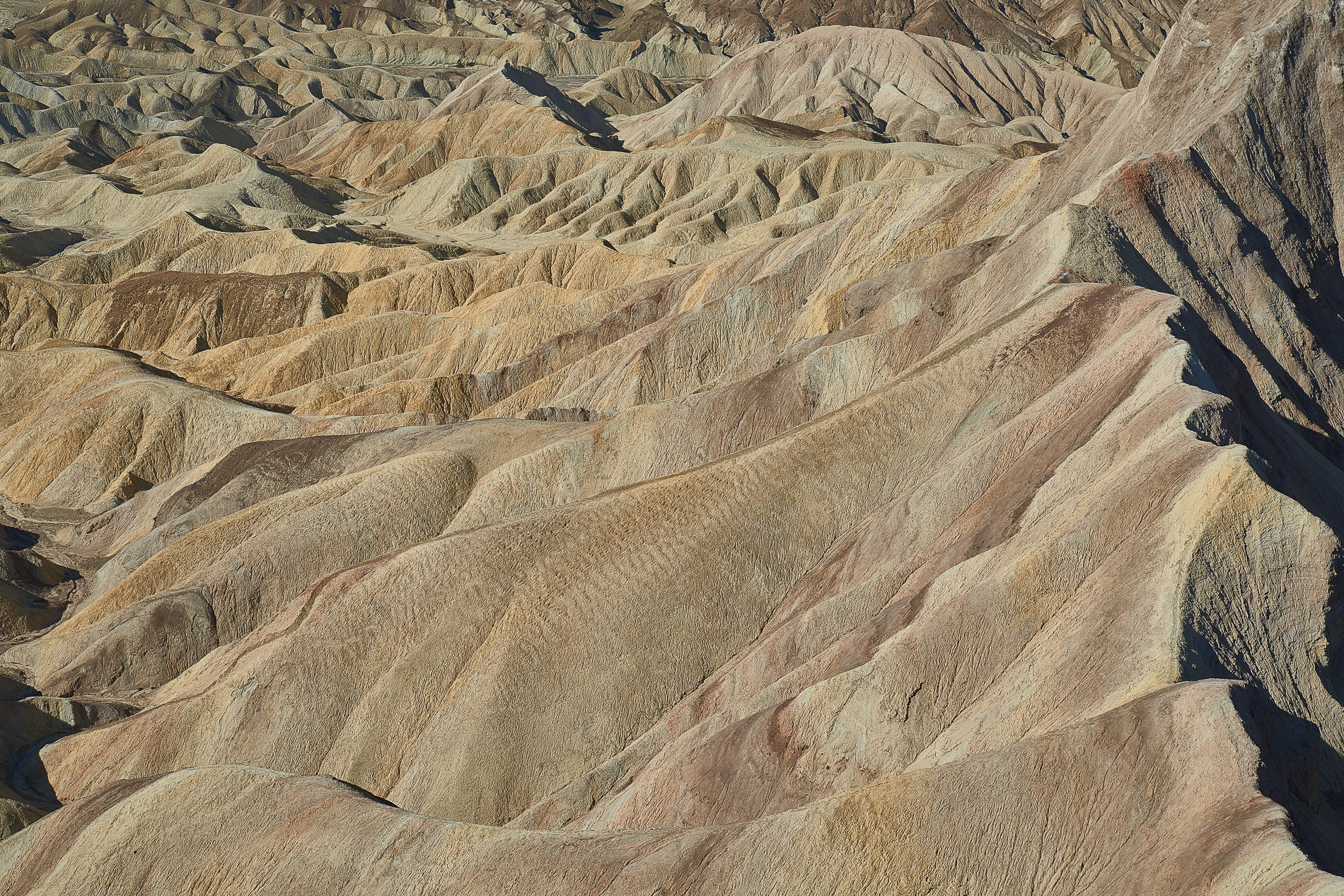 Death Valley, Californie, USA.