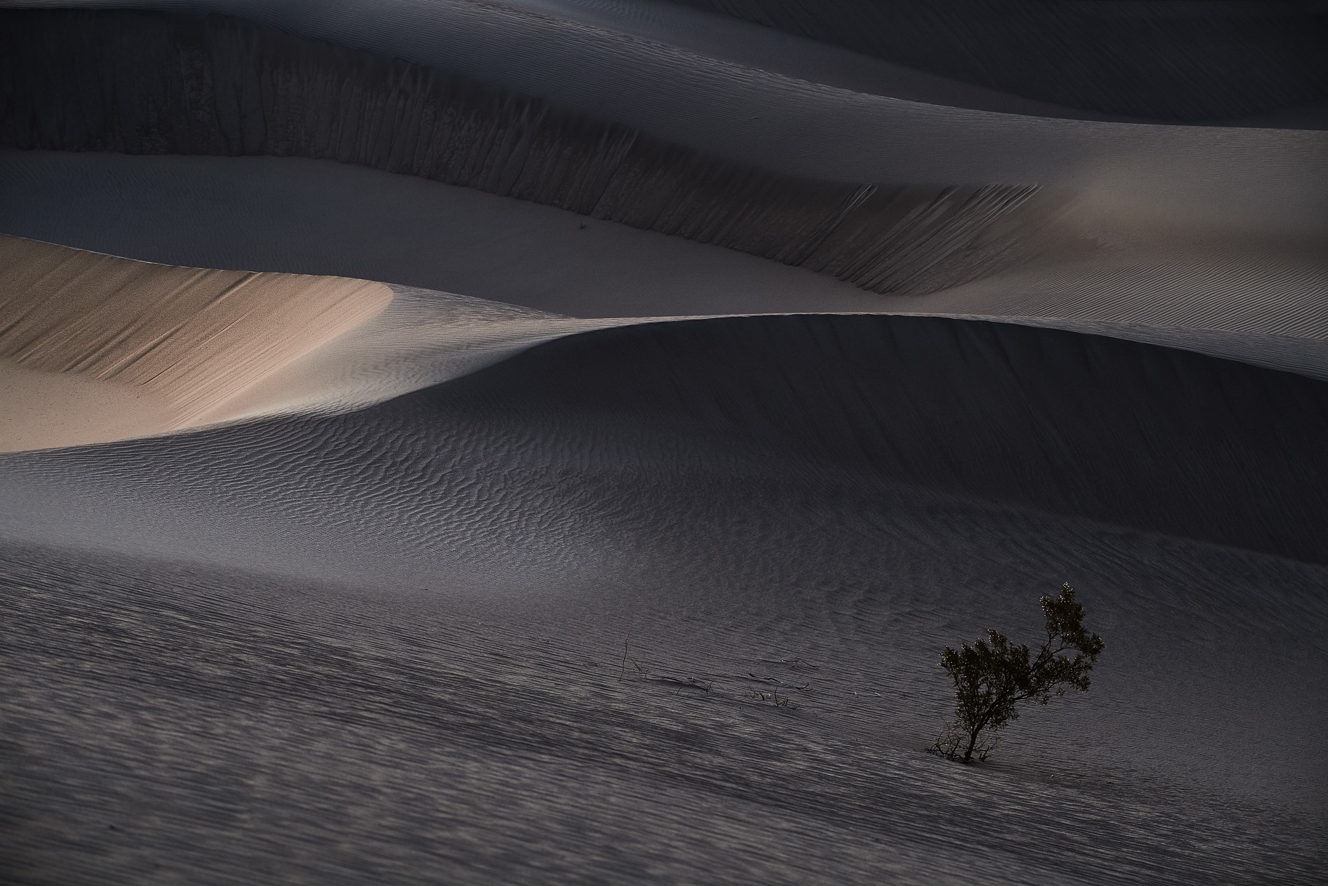 Death Valley, Californie, USA.