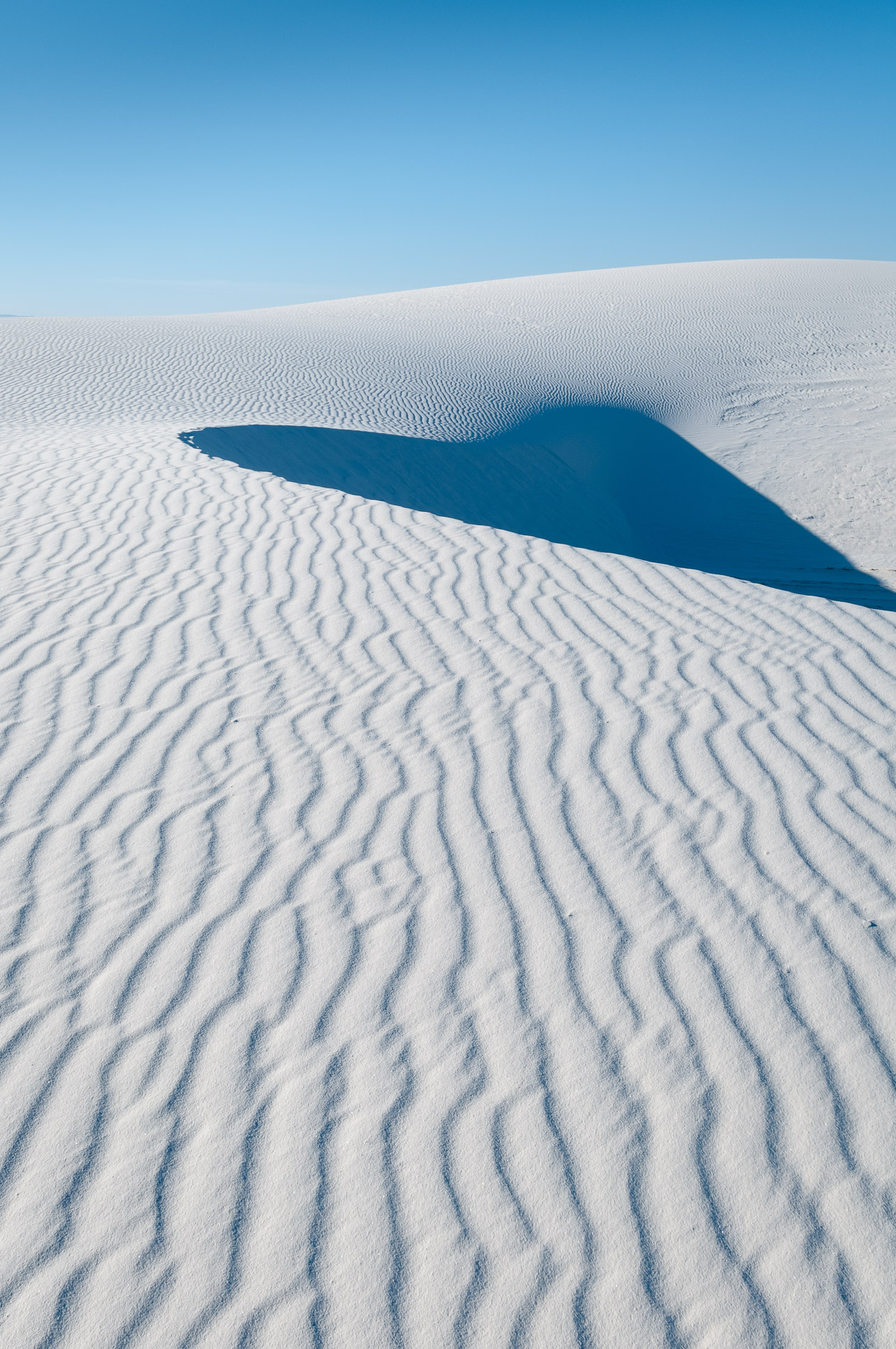 White Sands National Monument, Nouveau-Mexique. Etats-Unis.