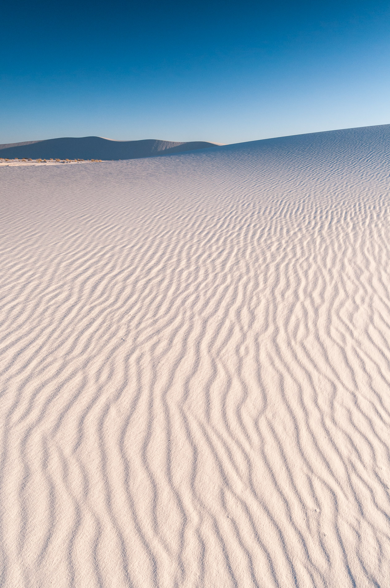 White Sands National Monument, Nouveau-Mexique. Etats-Unis.